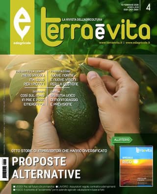 Immagine copertina Terra e Vita