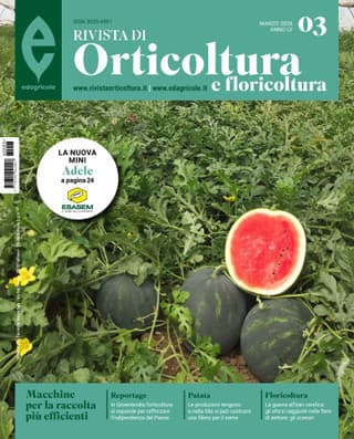 Immagine copertina Rivista di Orticoltura e Floricoltura