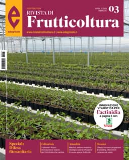 Rivista di Frutticoltura