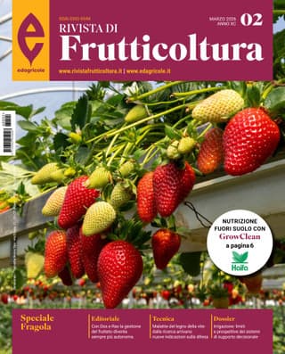 Immagine copertina Rivista di Frutticoltura