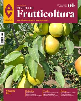Immagine copertina Rivista di Frutticoltura