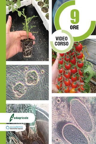 Immagine copertina Microrganismi: la svolta sostenibile della nuova agricoltura