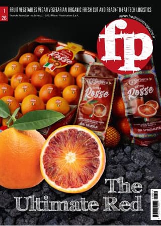 Immagine copertina Fresh Point Magazine