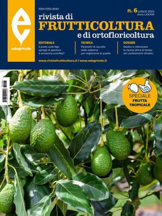 Immagine copertina Rivista di Frutticoltura e di Ortofloricoltura 1 anno digitale + La difesa delle piante da frutto