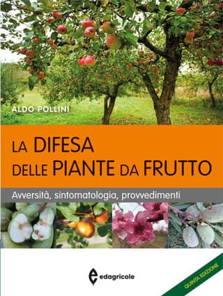 Immagine 2 copertina Rivista di Frutticoltura e di Ortofloricoltura 1 anno digitale + La difesa delle piante da frutto