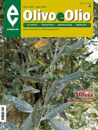 Immagine copertina Olivo e olio 1 anno digitale + Oleum