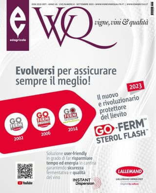 Immagine copertina VVQ vigne, vini e qualità 1 anno cartaceo + Avversità ambientali e parassitarie della vite e cambiamento climatico