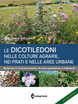 Le dicotiledoni nelle colture agrarie, nei prati e nelle aree urbane