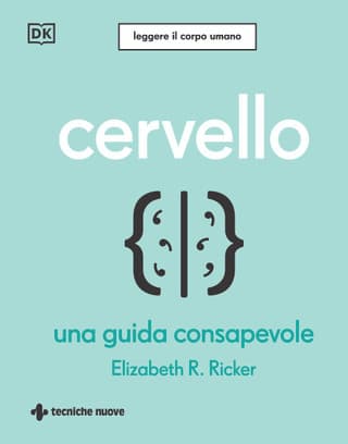Cervello