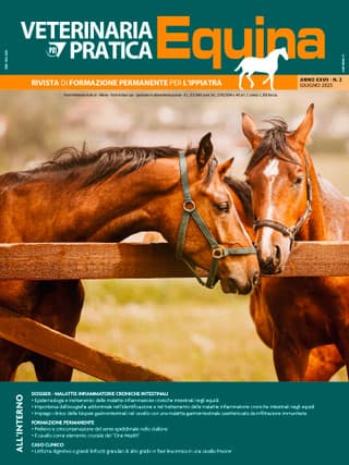 Veterinaria Pratica Equina