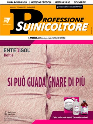 Immagine copertina Professione Suinicoltore