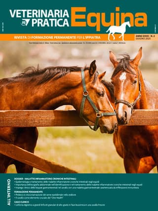 Immagine 2 copertina Summa Animali da Compagnia + Veterinaria Pratica Equina