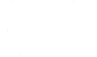 Immagine copertina La Settimana Veterinaria + Veterinaria Pratica Equina