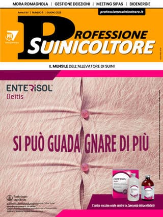 Immagine 2 copertina Professione Allevatore + Professione Suinicoltore
