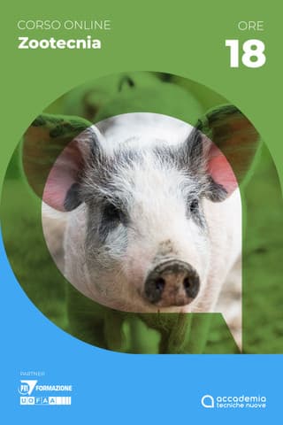 Immagine copertina Salute animale: suini - DM 6.09.2023