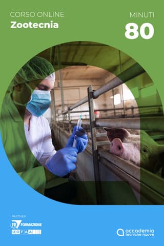 Immagine copertina Biosicurezza nell’allevamento di suini