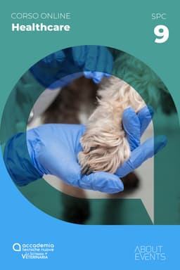 Osteoartrite del cane a 360°