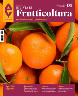 Immagine copertina Rivista di Frutticoltura 1 anno cartaceo + Piccoli frutti e altri superfrutti