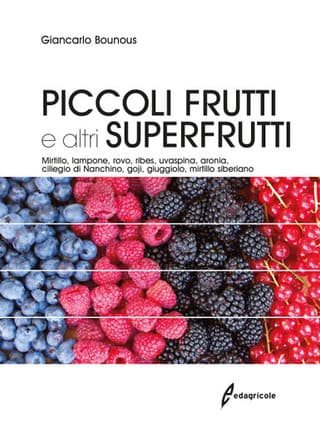 Immagine 2 copertina Rivista di Frutticoltura 1 anno cartaceo + Piccoli frutti e altri superfrutti