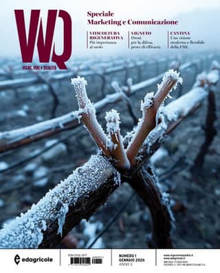 Immagine copertina VVQ vigne, vini e qualità 1 anno cartaceo + Agrometeorologia