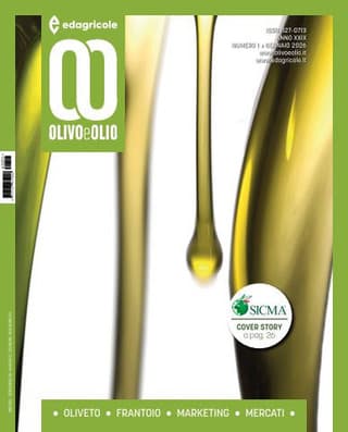 Immagine copertina Olivo e Olio 1 anno cartaceo + Corso La potatura dell'olivo a vaso policonico