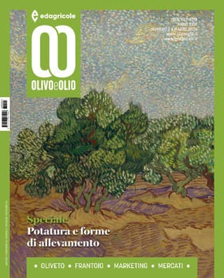 Immagine copertina Olivo e Olio cartaceo + Corso Potatura dell'olivo metodo Colp