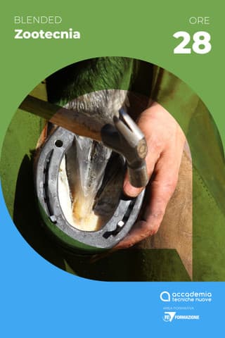 Immagine copertina Mascalcia bovina