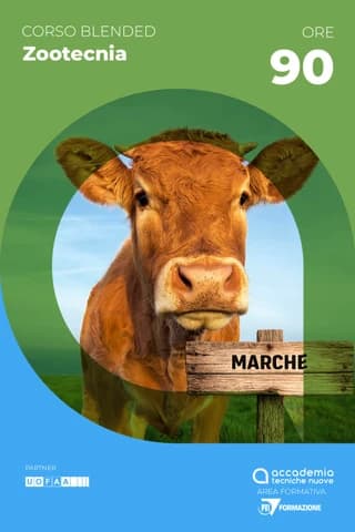 Immagine copertina Fecondazione artificiale bovina nazionale Marche