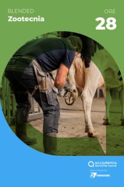 Mascalcia bovina - edizione novembre 2026