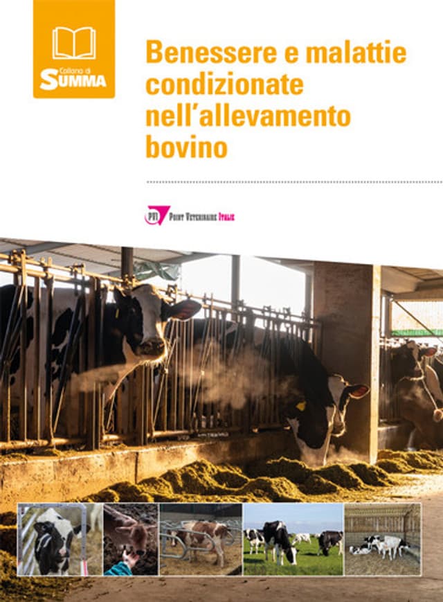 Benessere e malattie condizionate nell’allevamento bovino