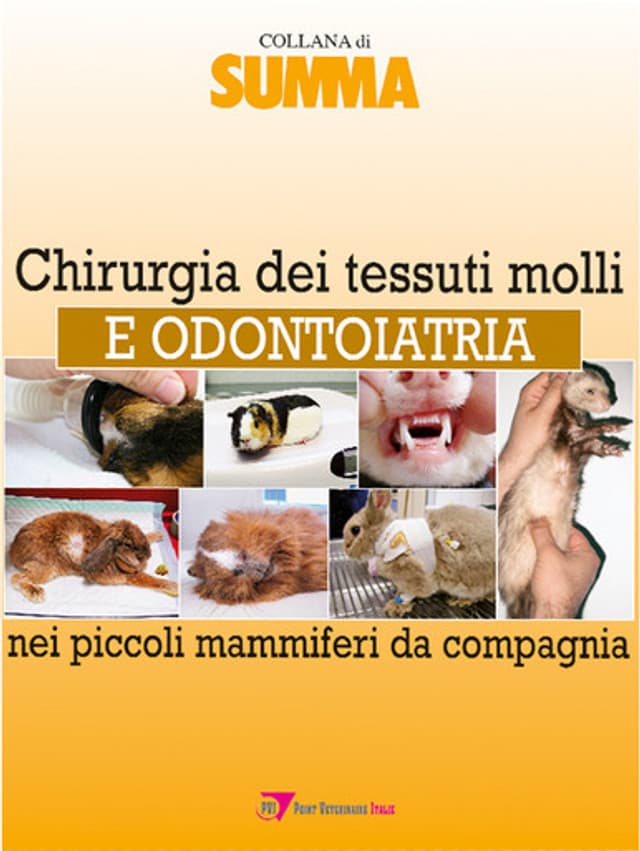 Chirurgia dei tessuti molli e odontoiatria nei piccoli mammiferi da compagnia