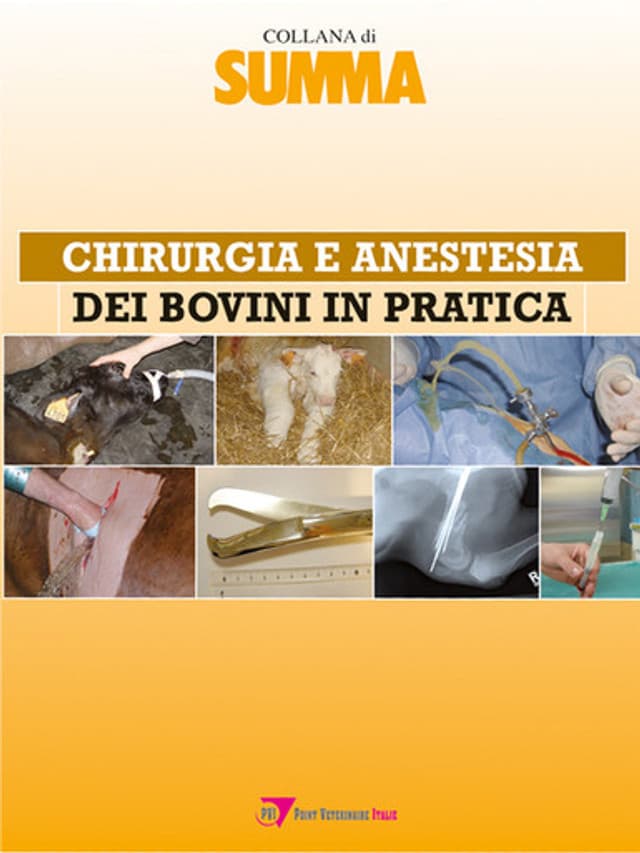 Chirurgia e anestesia dei bovini in pratica