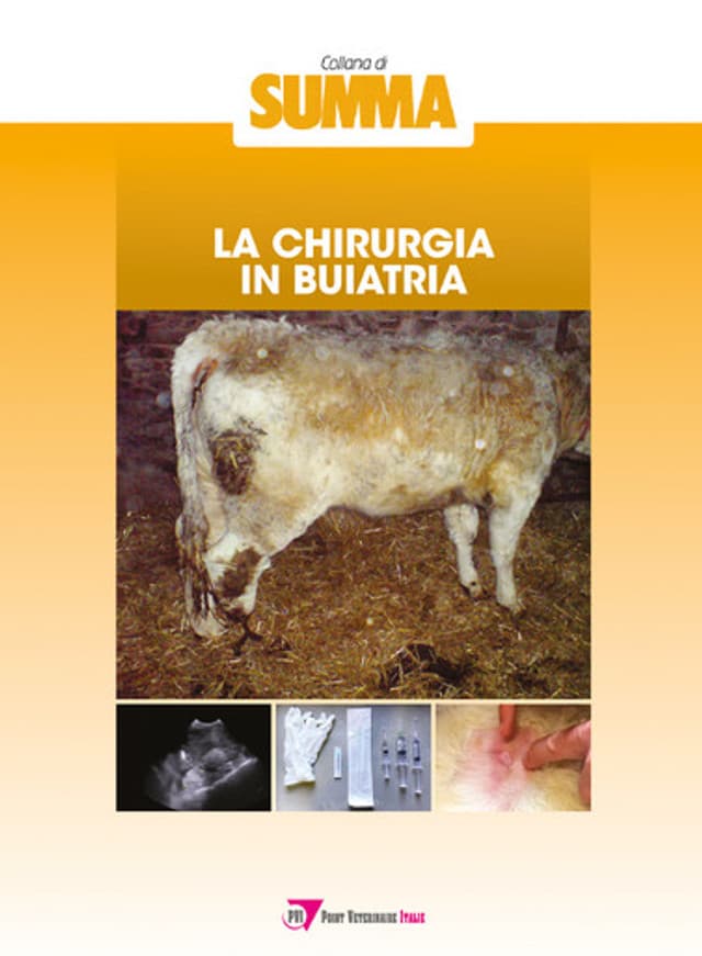 La chirurgia in buiatria