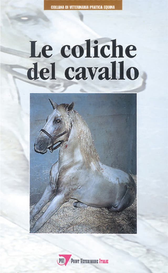 Le coliche del cavallo