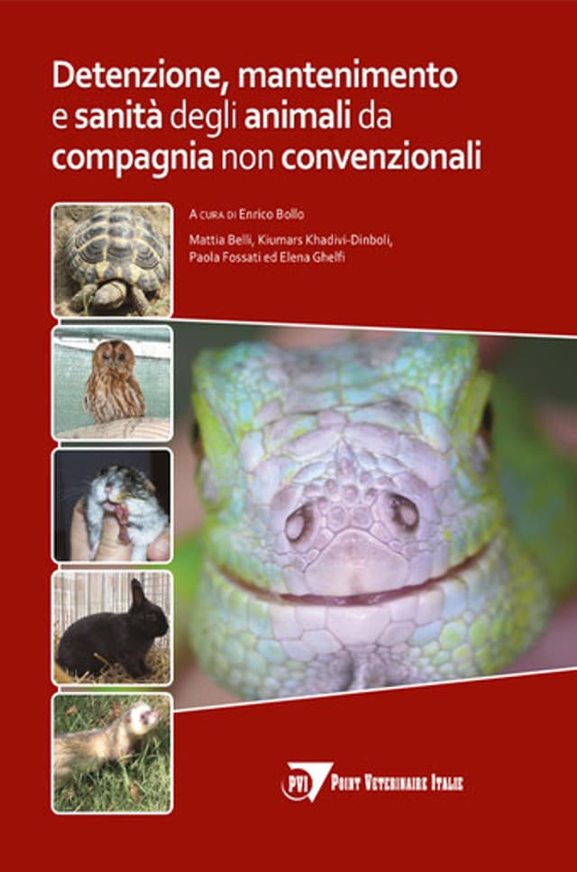 Detenzione, mantenimento e sanità degli animali da compagnia non convenzionali