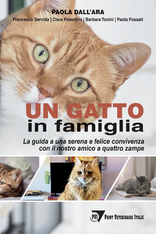 Un gatto in famiglia