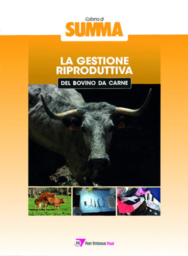 La gestione riproduttiva del bovino da carne