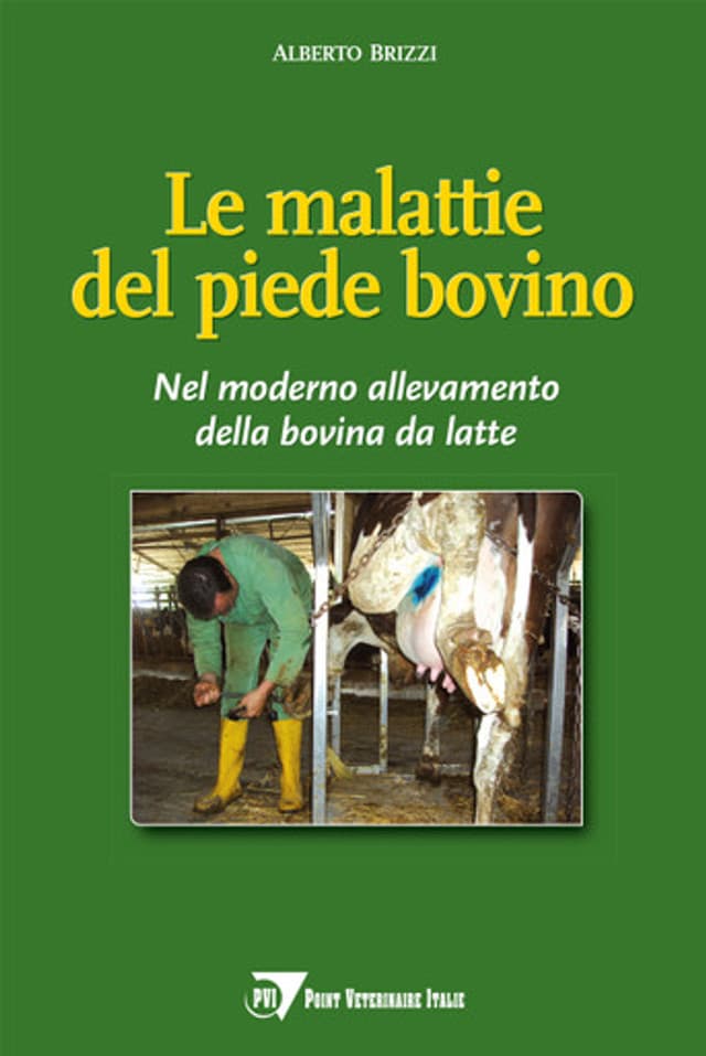 Le malattie del piede bovino
