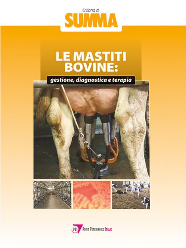 Le mastiti bovine