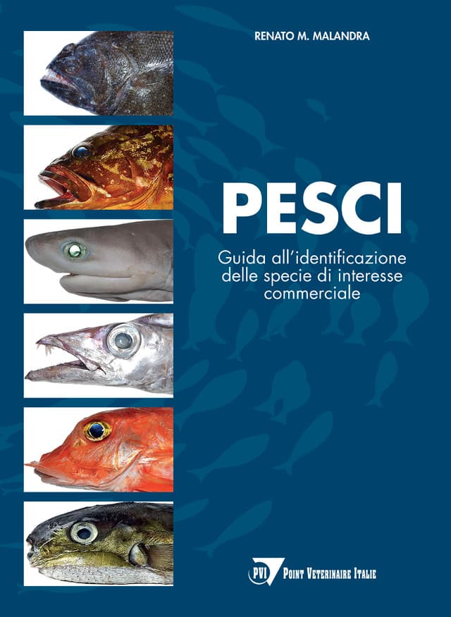 PESCI – Guida all’identificazione delle specie di interesse commerciale