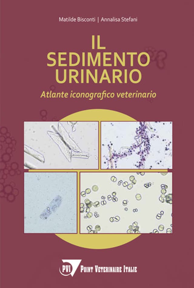 Il sedimento urinario