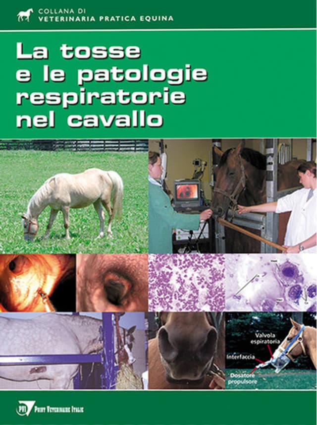 La tosse e le patologie respiratorie nel cavallo