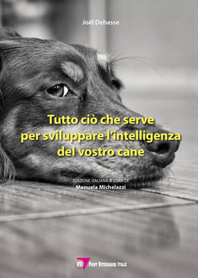 Tutto ciò che serve per sviluppare l’intelligenza del vostro cane