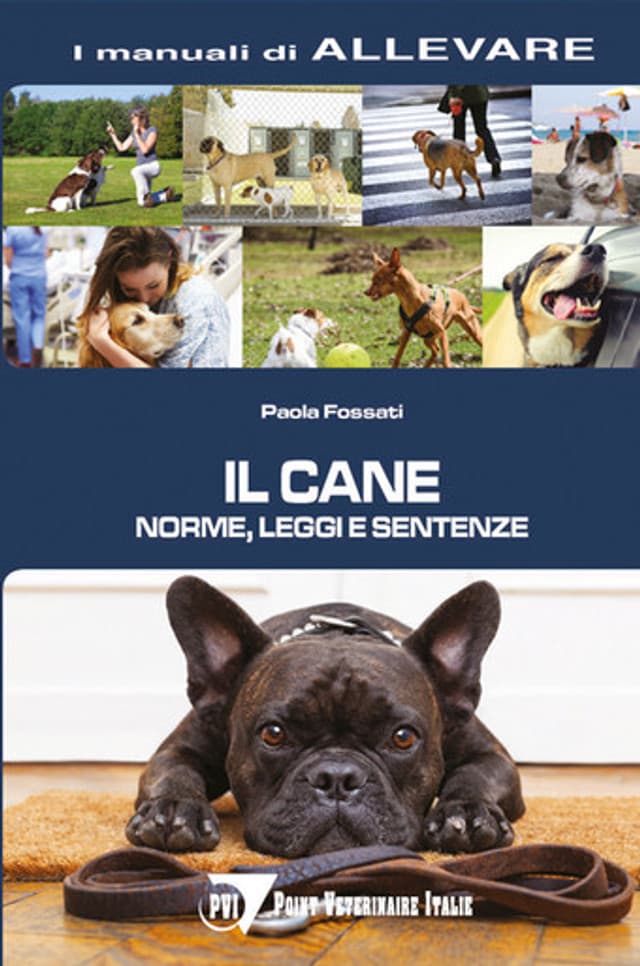 Il cane