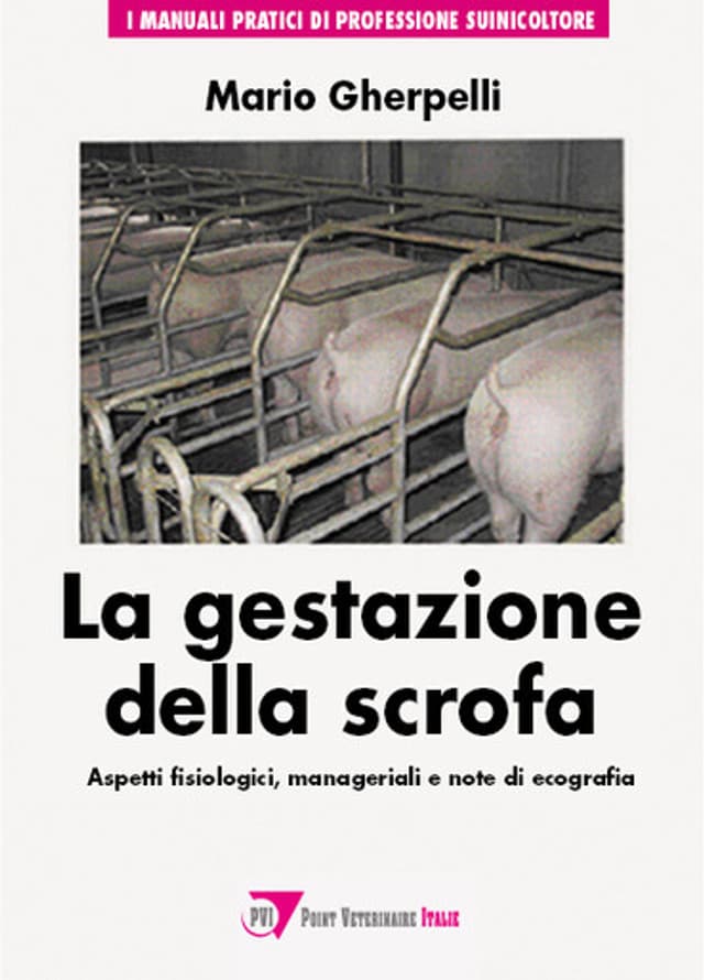 La Gestazione della Scrofa
