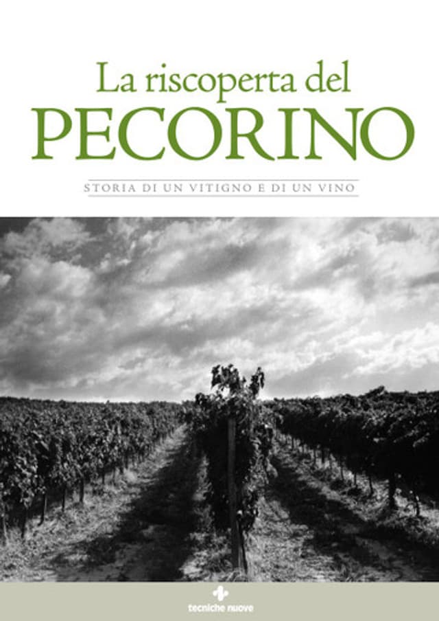 La riscoperta del Pecorino