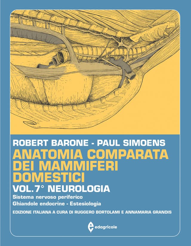 Anatomia comparata dei mammiferi domestici - Volume 7