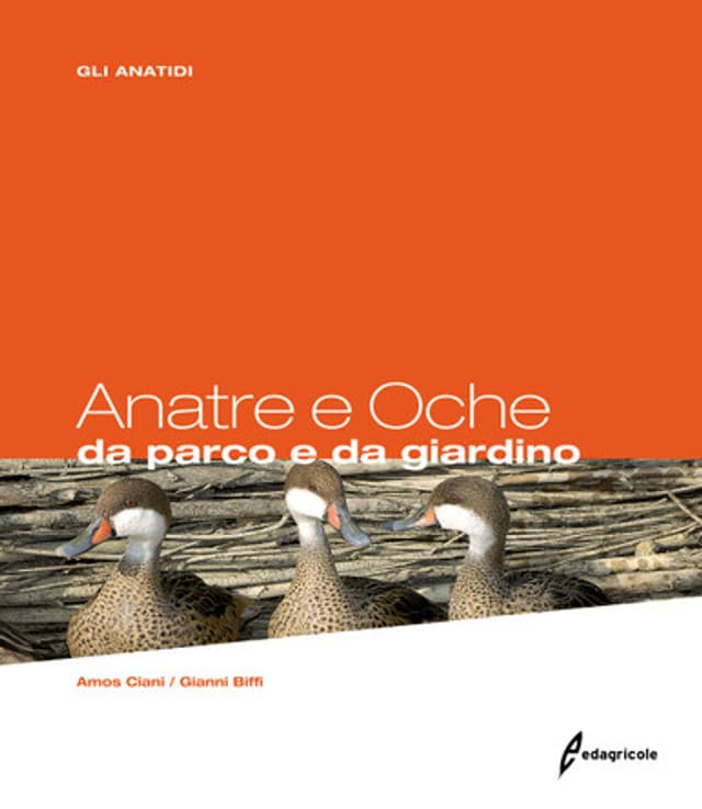 Anatre e Oche da parco e da giardino