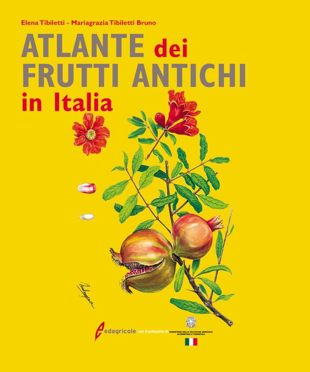 Atlante dei frutti antichi in Italia