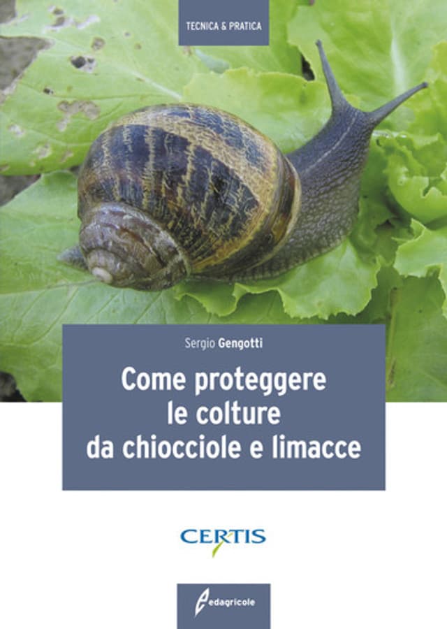 Come proteggere le colture da chiocciole e limacce